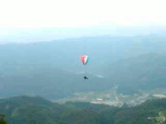 Jump to Paragliding